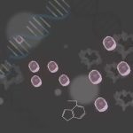 Paciente permanece em remissão de câncer há 18 anos após terapia com células CAR-T