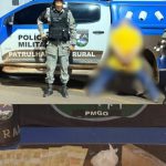 Batalhão Rural apreende drogas e prende suspeito em Santa Cruz de Goiás
