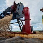 Goiás projeta safra recorde em 2025 com crescimento de 19% na produção agrícola