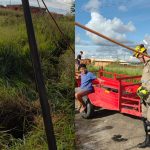 Corpo de Bombeiros resgata burro de fossa com três metros de profundidade em Catalão