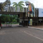 Gripe aviária é confirmada no Zoológico de Brasília; autoridades monitoram situação