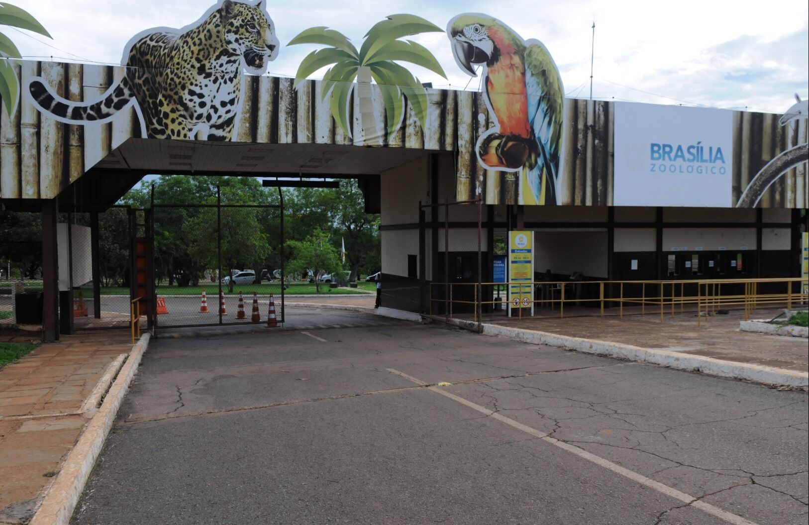 Gripe aviária é confirmada no Zoológico de Brasília; autoridades monitoram situação