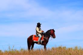 Jovem morre após cair de cavalo a caminho de cavalgada na zona rural de Catalão
