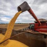 Goiás é o 2º estado que mais recebe migrantes no Brasil, aponta IBGE