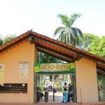 Gripe Aviária: Goiás investiga caso suspeito no Zoológico de Goiânia