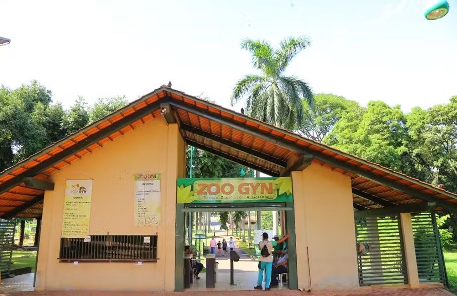 Gripe Aviária: Goiás investiga caso suspeito no Zoológico de Goiânia
