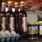 Termina hoje prazo para cadastro em projeto de melhoria de agroindústrias em Goiás