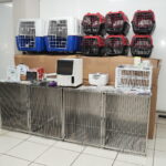 Emenda parlamentar destina R$ 100 mil para a causa animal