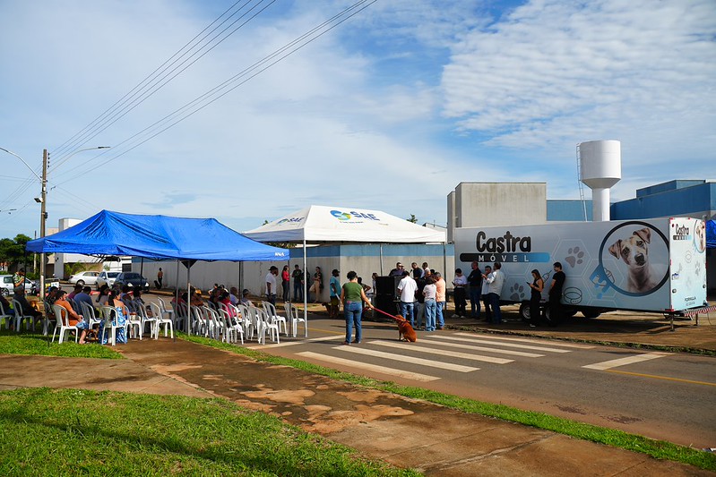 Mutirão de Castração em Catalão supera expectativas com cerca de 93 procedimentos no primeiro dia