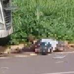 Colisão entre caminhão e motocicleta deixa dois feridos na GO-020 em Pires do Rio