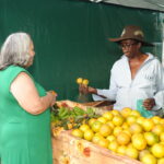 Nem a chuva forte segura o sucesso da Feira Parque e do Baile da Melhor Idade