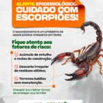 Saúde de Catalão emite Informe Epidemiológico sobre o aumento de acidentes com escorpiões