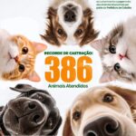 Pagamento de emendas municipais permite que Centro de Castração de Catalão bata recorde de atendimentos