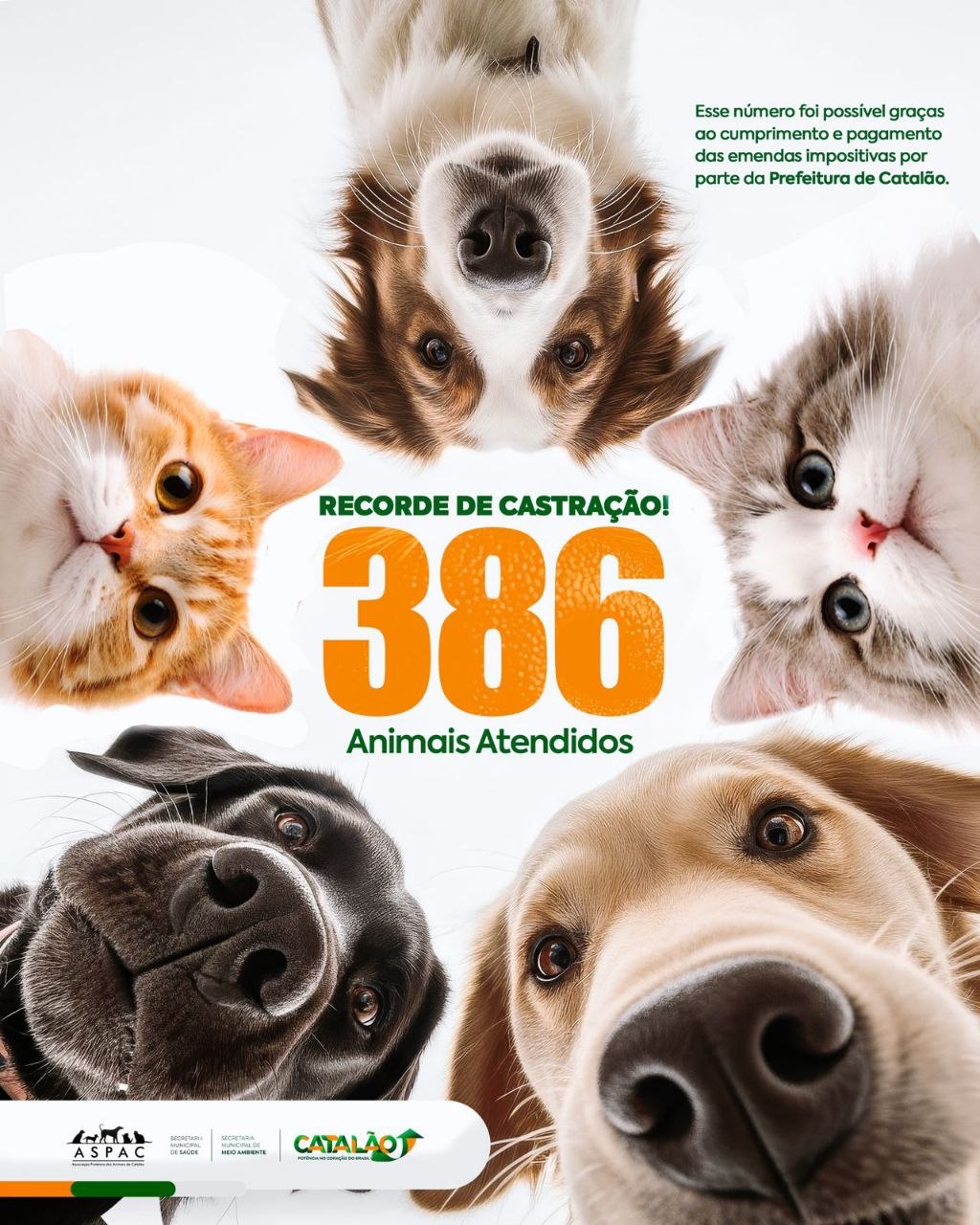 Pagamento de emendas municipais permite que Centro de Castração de Catalão bata recorde de atendimentos