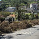 Abandono de podas na Avenida Margon pela Equatorial Goiás