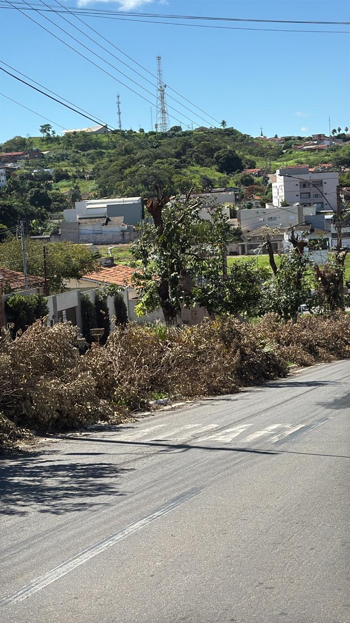 Abandono de podas na Avenida Margon pela Equatorial Goiás