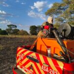 Área de vegetação atingida por incêndio às margens da GO-307, em Ipameri. Foto: Badiinho