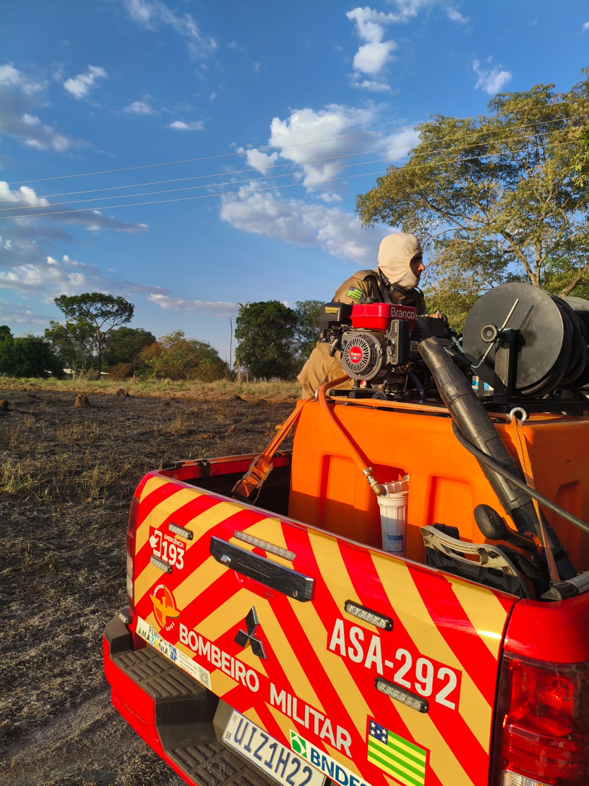 Área de vegetação atingida por incêndio às margens da GO-307, em Ipameri. Foto: Badiinho