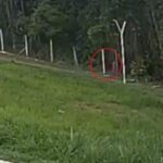 Polícia Militar localiza homem desaparecido em área de vegetação em Catalão. Foto: Portal Catalão