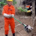 Gambá resgatado pelo Corpo de Bombeiros em Ipameri
