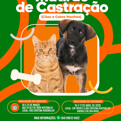 Mutirão de Castração chegando!