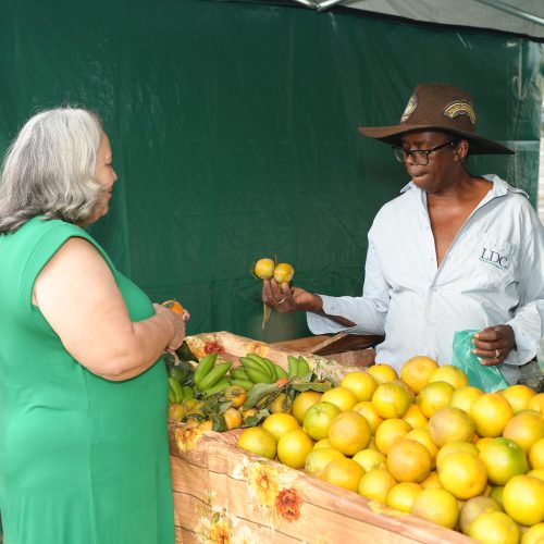 Nem a chuva forte segura o sucesso da Feira Parque e do Baile da Melhor Idade