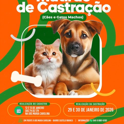 Mutirão de castração para cães e gatos machos acontece em Catalão no fim de janeiro