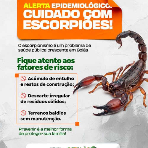 Saúde de Catalão emite Informe Epidemiológico sobre o aumento de acidentes com escorpiões