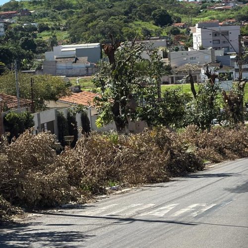 Abandono de podas na Avenida Margon pela Equatorial Goiás