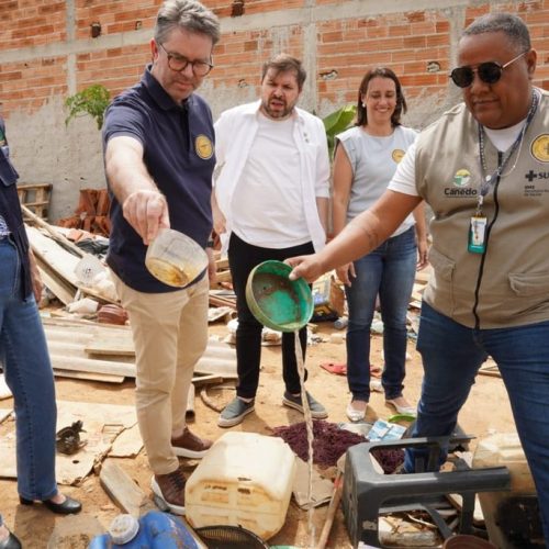 Acoes de combate ao mosquito Aedes aegypti em Goias