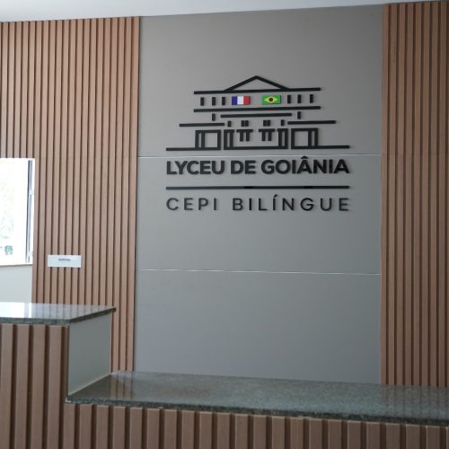 Estudante em atividade escolar no Lyceu de Goiânia