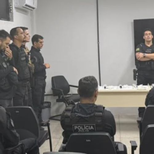 Foto: Polícia Civil de Goiás — operação contra fraude eletrônica