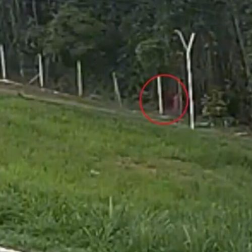 Polícia Militar localiza homem desaparecido em área de vegetação em Catalão. Foto: Portal Catalão