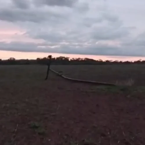 Temporal danifica rede elétrica em Orizona e Palmelo